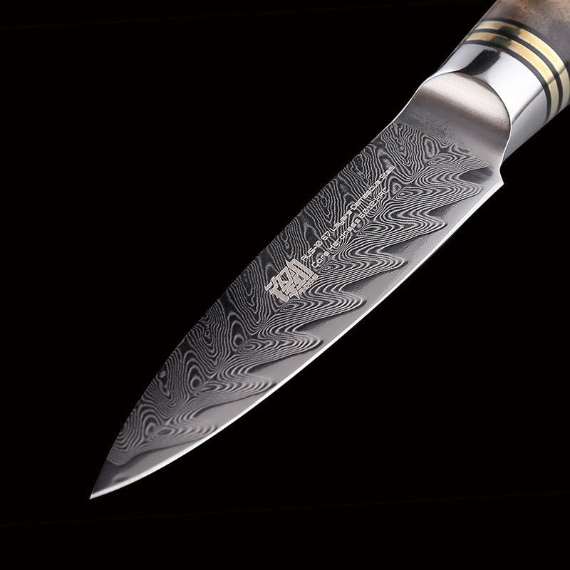 Damascus Shadow Wood Fruit Knife Fish Bone Pattern Sharp Peeling Knife Exquisite 3.5 Inch Paring Knife